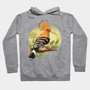 Beautiful Hoopoe For Ornithologists Hoodie